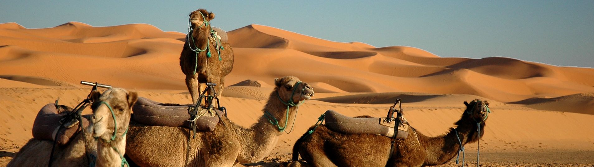 EXTENSIÓN_AL_DESIERTO_DE_ZAGORA_DESDE_MARRAKECH
